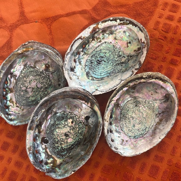 Other - Iridescent Abalone Shells Set of 4